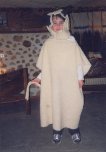 Lost In Sheep